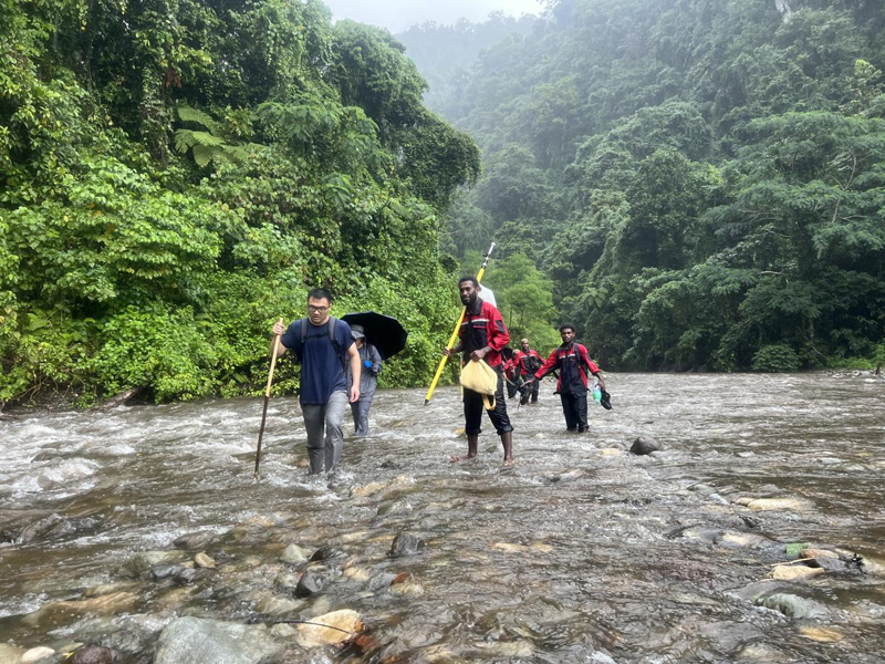 萬水千山只等閑，踐行六講勇向前 ——所羅門金嶺水電站項目勘察工作側記